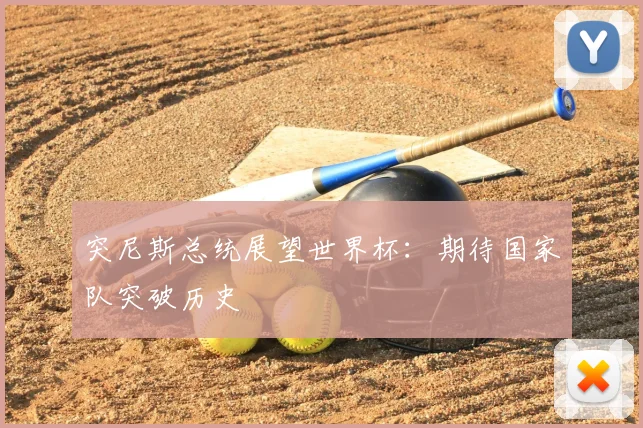 突尼斯总统展望世界杯:期待国家队突破历史