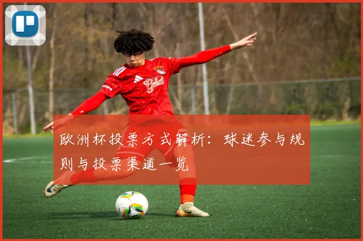 欧洲杯投票方式解析：球迷参与规则与投票渠道一览